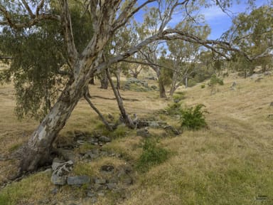 Property CA 100G and 100K Horse Gully Road, Balmattum VIC 3666 IMAGE 0