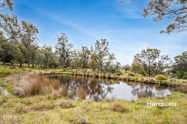 Property 00 Uxbridge Road, BUSHY PARK TAS 7140 IMAGE 0