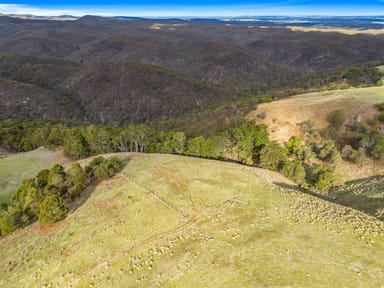 Property CA 22D & 22E Spotiswood Road, Bullengarook VIC 3437 IMAGE 0