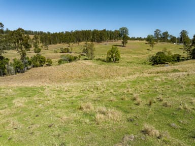 Property Lot 162 Larsson Road, Tunglebung NSW 2469 IMAGE 0