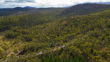 Property 1, 1166 Prossers Road, Underwood TAS 7268 IMAGE 0