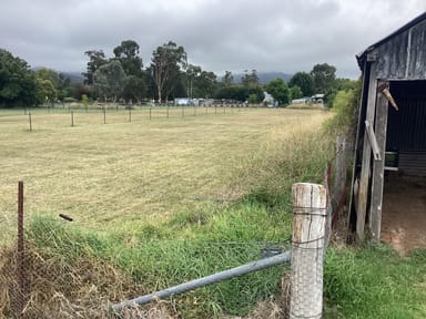 Property Blandford NSW 2338 IMAGE 0