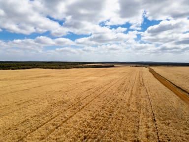 Property 455 Bluff Creek Road, Green Range WA 6328 IMAGE 0