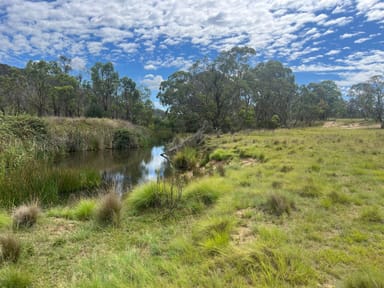 Property Winsom Downs, 1651 Shannon Vale Road, SHANNON VALE NSW 2370 IMAGE 0