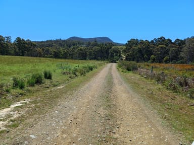 Property 161 Levendale Back Road, LEVENDALE TAS 7120 IMAGE 0