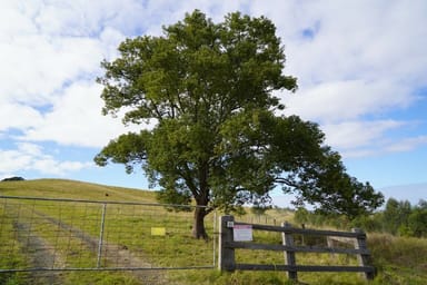 Property 65 Webbs Rd, Kyogle NSW 2474 IMAGE 0