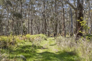 Property 123 Sharpes Lane, Glenlyon VIC 3461 IMAGE 0