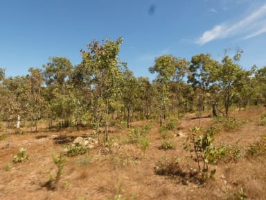 Property 246 Strickland Road, Adelaide River NT 0846 IMAGE 0