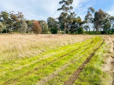 Property Lots 3 & 4 Mcleod Street, Gerogery NSW 2642 IMAGE 0