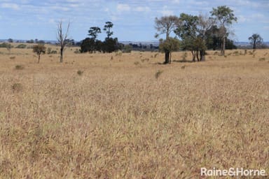 Property ORALLO ROAD Roma, Roma QLD 4455 IMAGE 0