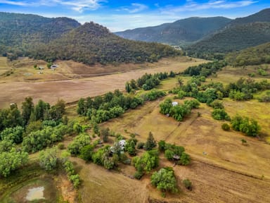 Property "Bargra Park" Doyles Creek Road, Doyles Creek NSW 2330 IMAGE 0