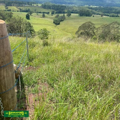 Property 2047 The Bucketts Way, Weismantels NSW 2415 IMAGE 0