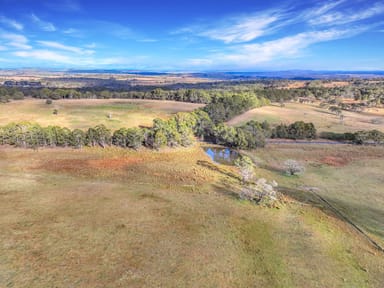 Property Lot 337 Bucky Springs Road, BOMBALA NSW 2632 IMAGE 0