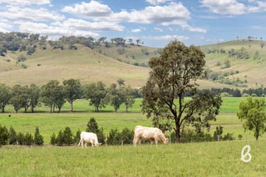 Property 2487 Jerrys Plains Road, Singleton NSW 2330 IMAGE 0