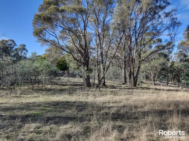 Property null, 21 Craigbourne Road, Colebrook TAS 7027 IMAGE 0