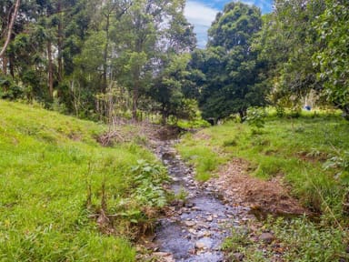 Property Lot B / 1233 Jiggi Road, GEORGICA NSW 2480 IMAGE 0