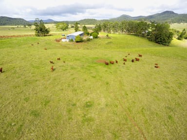 Property Ravenshoe QLD 4888 IMAGE 0