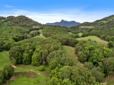 Property CHILLINGHAM NSW 2484 IMAGE 0
