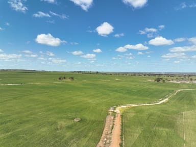 Property Multi Lot Kellerberrin-Shackleton Rd, Kellerberrin WA 6410 IMAGE 0