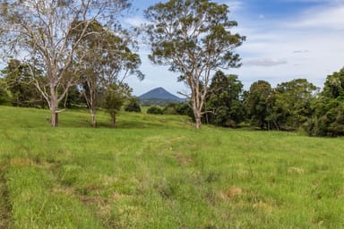 Property 29 Musavale Road, Eerwah Vale QLD 4562 IMAGE 0