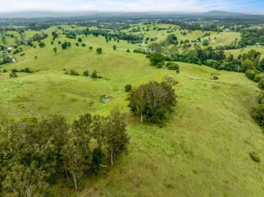 Property Lots 1 & 1 Sandy Creek Road, Veteran QLD 4570 IMAGE 0