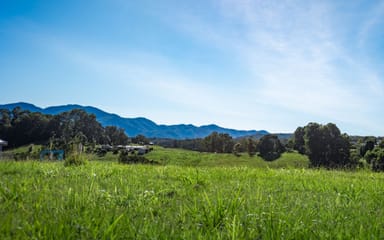 Property 6 Hydes Creek Road, BELLINGEN NSW 2454 IMAGE 0