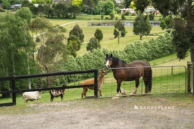 Property 28 Beaconsfield-Emerald Road, Emerald VIC 3782 IMAGE 0