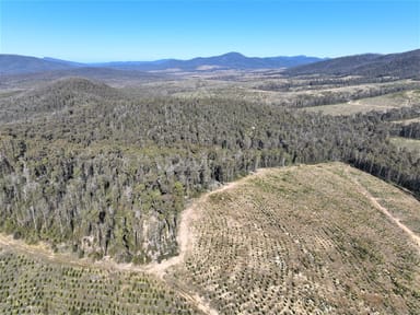 Property Lot 34, 35, 36, 79 Monaro Highway, Rockton NSW 2632 IMAGE 0