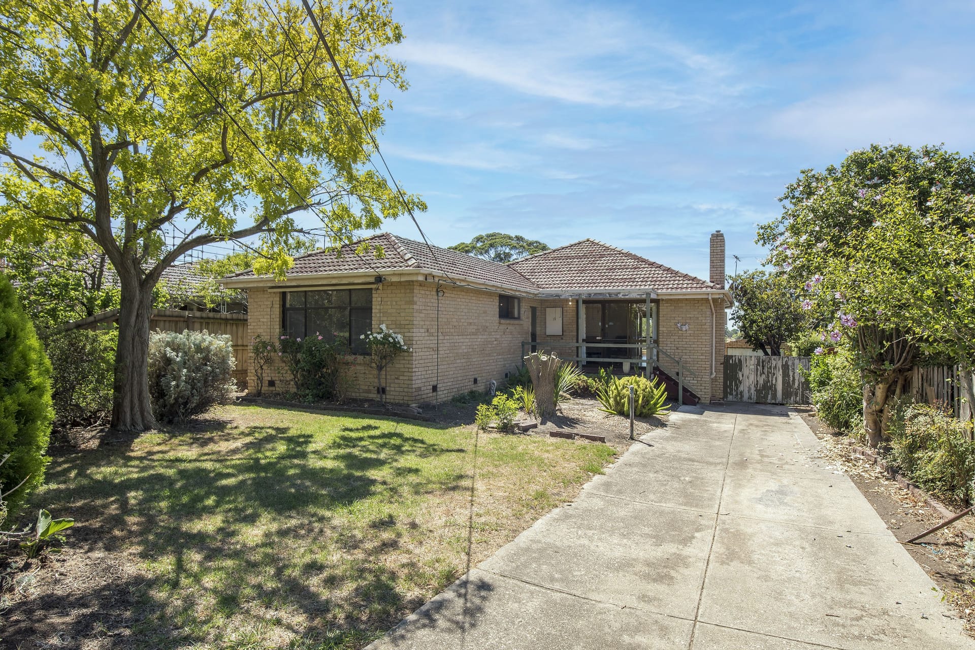 Property 16 Riverview Street, Avondale Heights VIC 3034 IMAGE