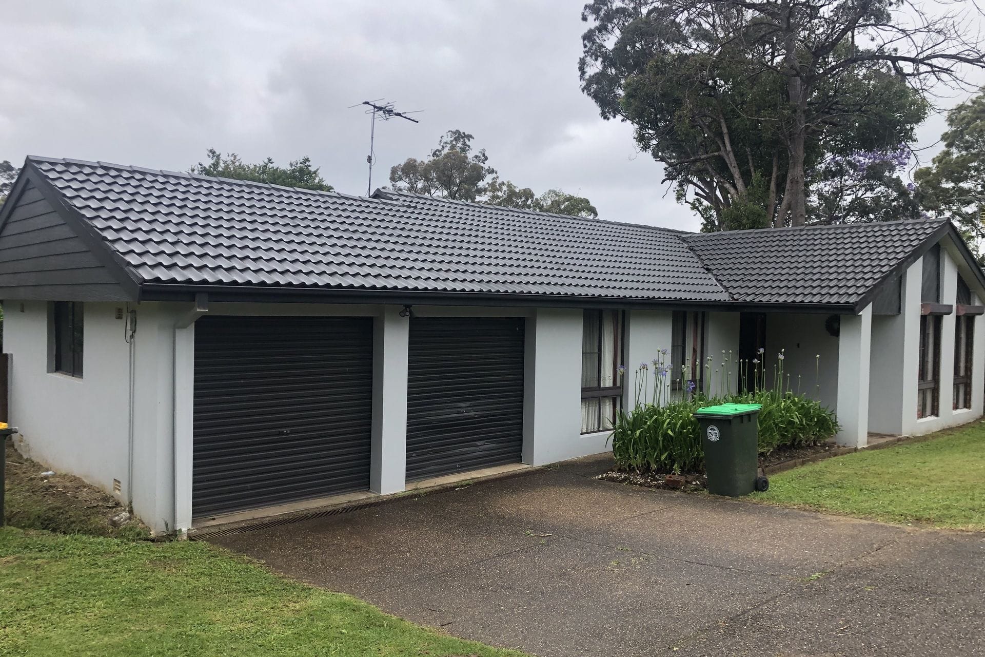 Property 100 Showground Road, Castle Hill NSW 2154 IMAGE