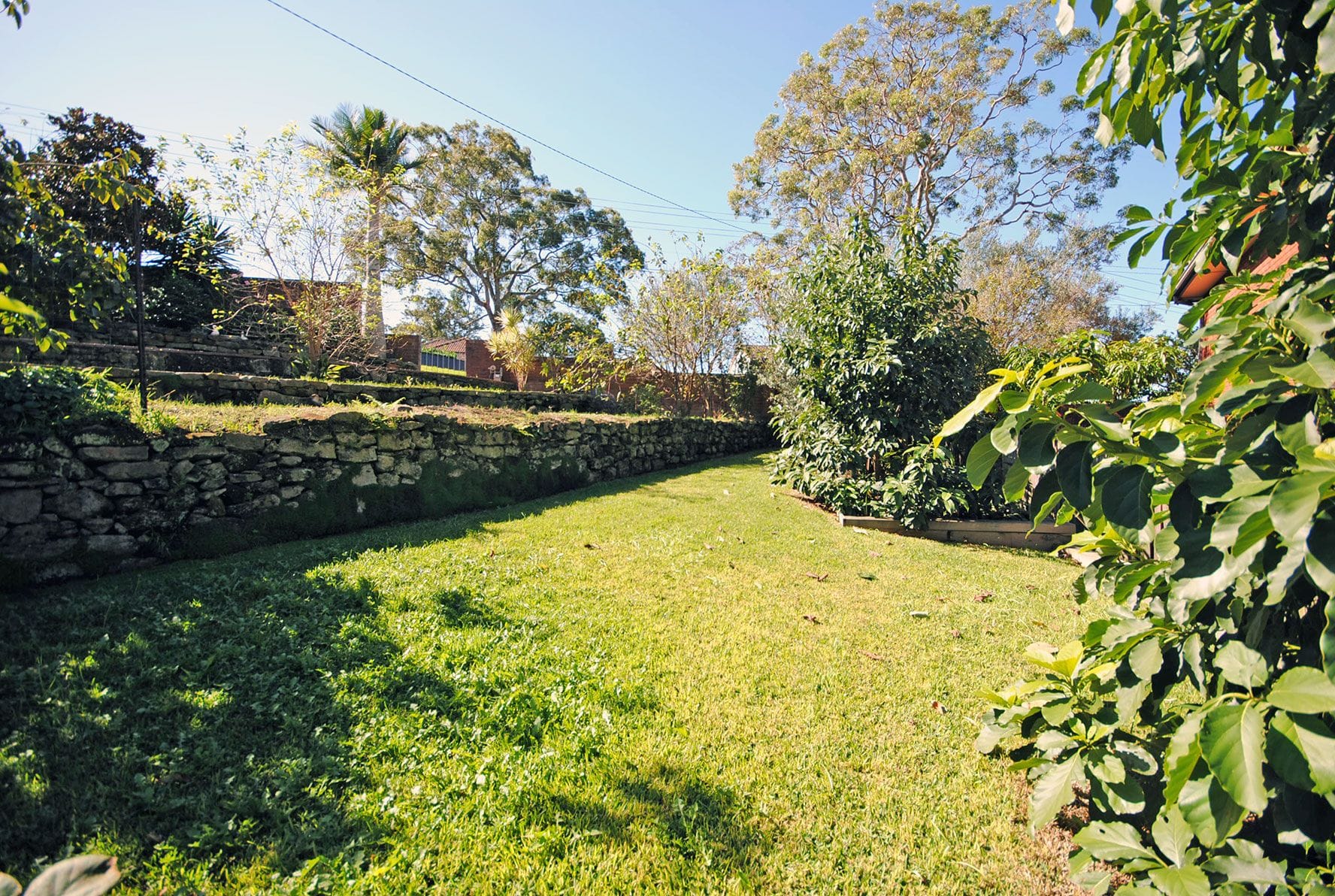 Property 15 Beacon Hill Road, BEACON HILL NSW 2100 IMAGE