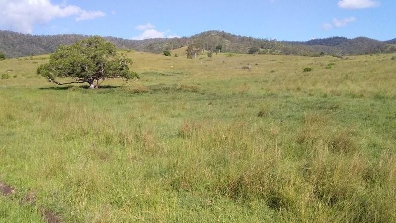 Property Lot 44 and Lot 45 RP15314 No Road Frontage, FULHAM QLD 4313 secondary IMAGE