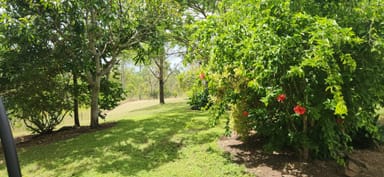 Property 162 Mcintyres Road, DAMASCUS QLD 4671 IMAGE 0