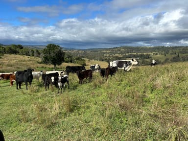 Property Lot 295 Schick Road, THORNVILLE QLD 4352 IMAGE 0