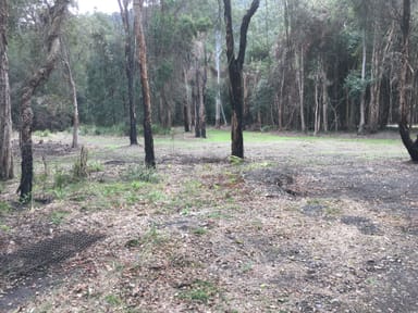 Property Lot 431 Putty Rd, Colo NSW 2756 IMAGE 0
