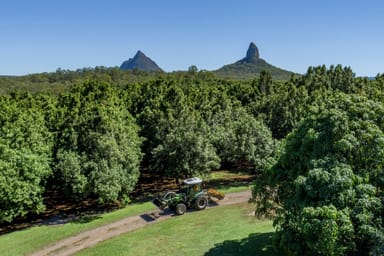 Property 269 Coonowrin Road, GLASS HOUSE MOUNTAINS QLD 4518 IMAGE 0