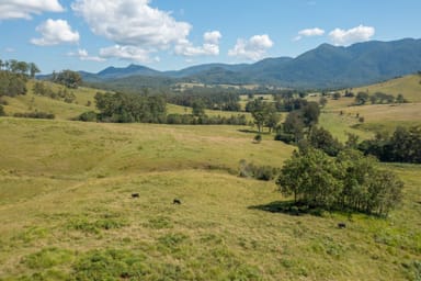 Property 1331 Forbes River Road, Long Flat NSW 2446 IMAGE 0