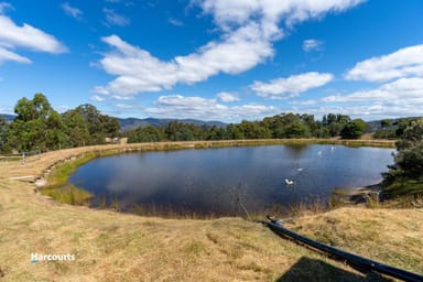 Property 212 Clear View Road, CRABTREE TAS 7109 IMAGE 0