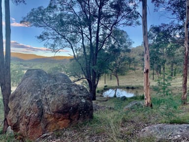 Property Lot 17 Putty Road, Howes Valley NSW 2330 IMAGE 0