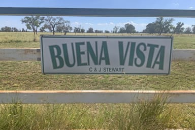 Property 465 Bourbah Rd "Buena Vista" Road, Collie NSW 2827 IMAGE 0