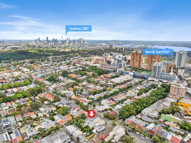 Property 59 Birrell Street, Queens Park NSW 2022 IMAGE 0