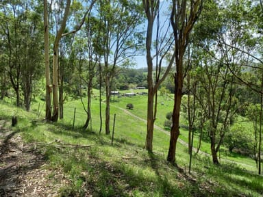 Property 33C Cawongla Road, Rock Valley NSW 2480 IMAGE 0