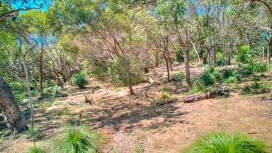 Property 160 Sunbird Drive, AGNES WATER QLD 4677 IMAGE 0