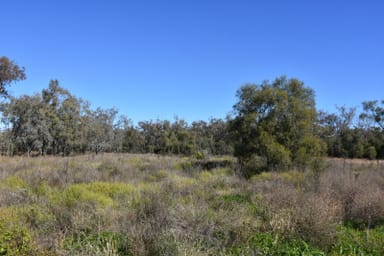 Property Lot 4 DP1107721 Mallee Road, MOREE NSW 2400 IMAGE 0