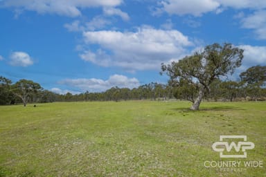 Property 46 Catarrh Creek Road, TORRINGTON NSW 2371 IMAGE 0