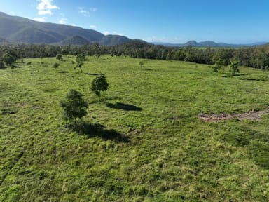Property 294 Pinevale Road, PINEVALE QLD 4754 IMAGE 0