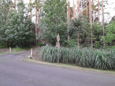 Property 110 Gungas Road, Nimbin NSW 2480 IMAGE 0