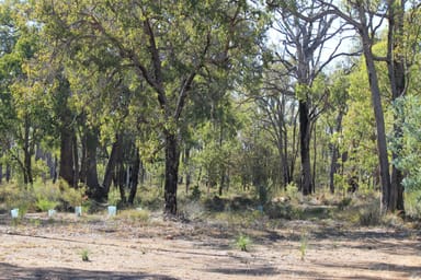 Property 975 Mayo Road, WOOROLOO WA 6558 IMAGE 0