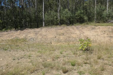 Property 8, 175 Mud Flat Road, Drake NSW 2469 IMAGE 0