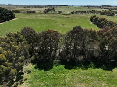 Property Lot 1 DP1133524, Lot 1 Mount Rae Road, Roslyn, CROOKWELL NSW 2583 IMAGE 0